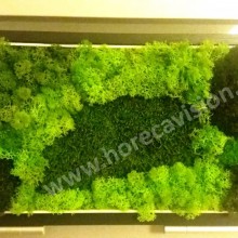 Tablou vegetal 3 din mușchi și licheni naturali, stabilizați, de calitate superioară - 42 cm x 24 cm