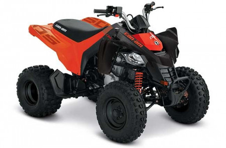 CAN AM DS 250