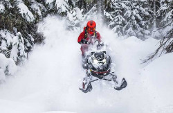 SKI-DOO FREERIDE 850 E-TEC TURBO R SHOT 154