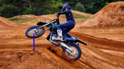 YAMAHA YZ250 MONSTER EDITION