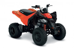 CAN-AM DS 250 STD 2023