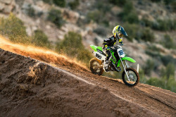 Kawasaki KX 65