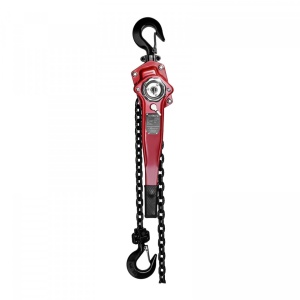 Palan Troliu cu lant Macara 6 tone lant 5m SBS-FZ 6000/5 STEINBERG