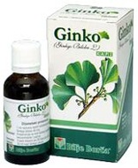 GINKO KAPI - Ginko Bilboa