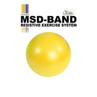 MSD lopta za gimnastiku, AB Gym Ball