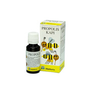 PROPOLIS KAPI