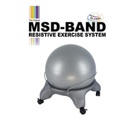 MSD Fit Ball chair for adults