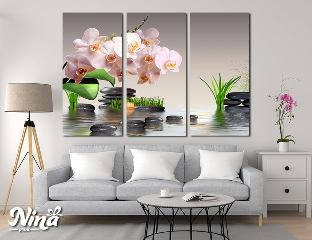 Nina 304