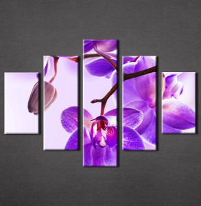 Slika na platnu Ljubicasta orhideja 3023_5