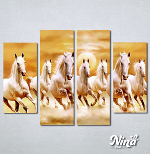 Slike na platnu Beli konji Nina432_4