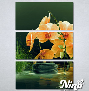Slike na platnu Narandzasta orhideja Nina357_3