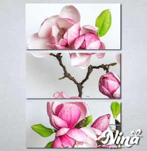 Slike na platnu Cvet magnolije Nina339_3