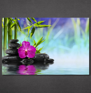 Slike na platnu Ljubičasta orhideja i kamen Nina30131_P