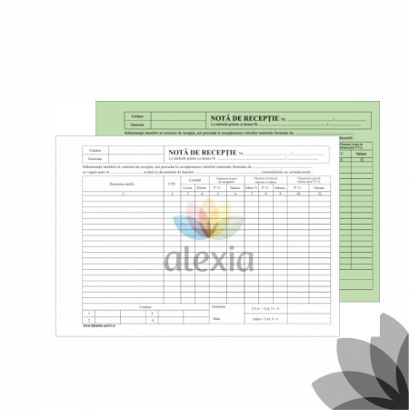 Nota intrare - receptie (NIR) autocopiativ