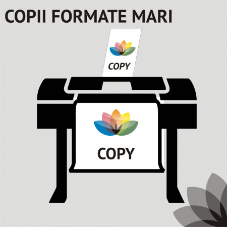 Copii formate mari (planse)