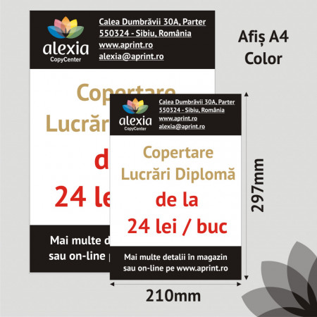 Pachet 100 Afise A4 Color