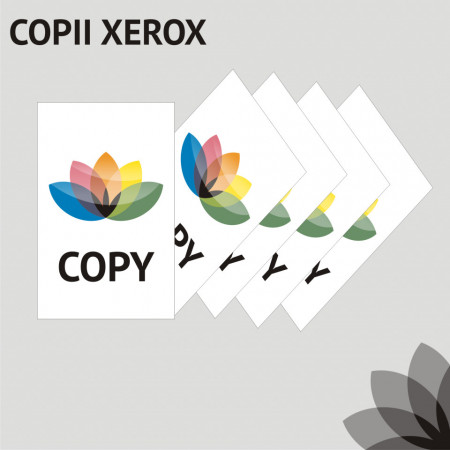 Copii xerox