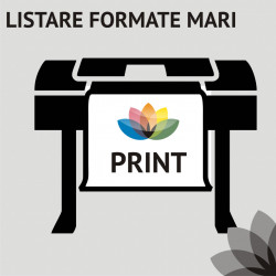 Listare planse formate mari