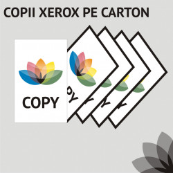 Copii pe suport carton sau medii speciale