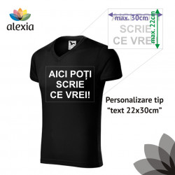 Tricou Barbati Slim Fit V-neck