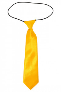 Cravata pentru copii, model ingust, aspect matasos, 6.5 x 26 cm, NO4806, Galben
