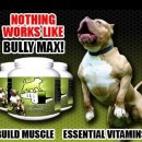 Протеини за кучета Bully Max 60 таблетки
