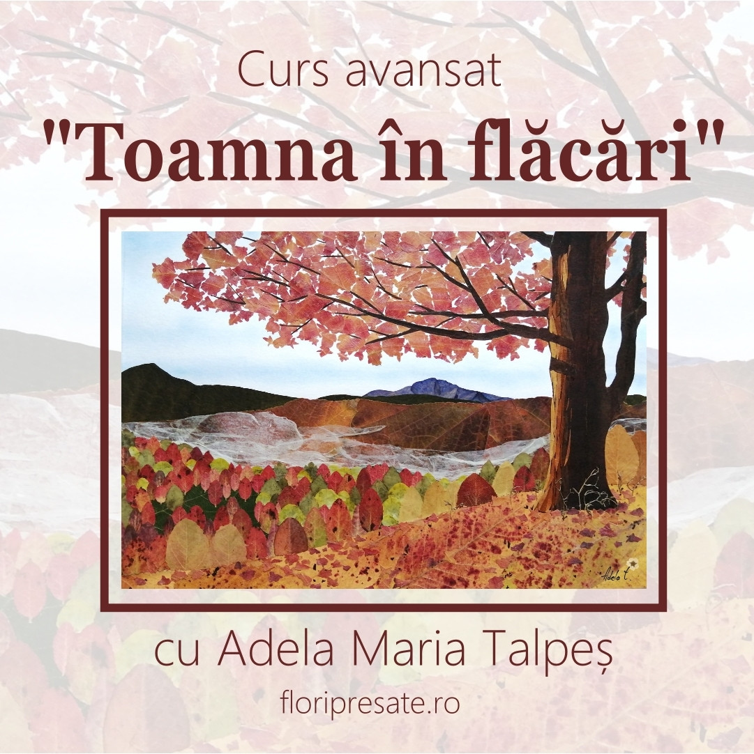 Curs "Toamna în flăcări"