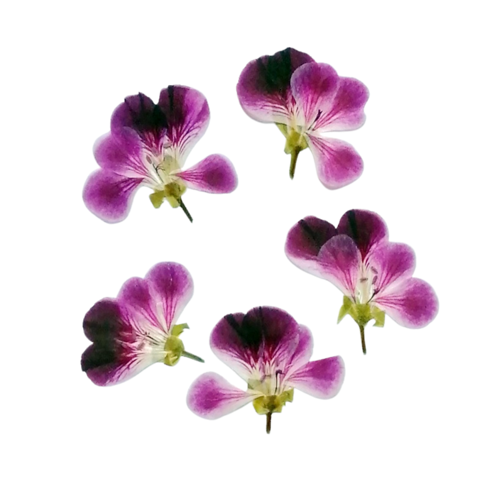 Flori