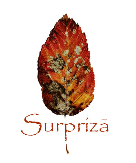 surpriză