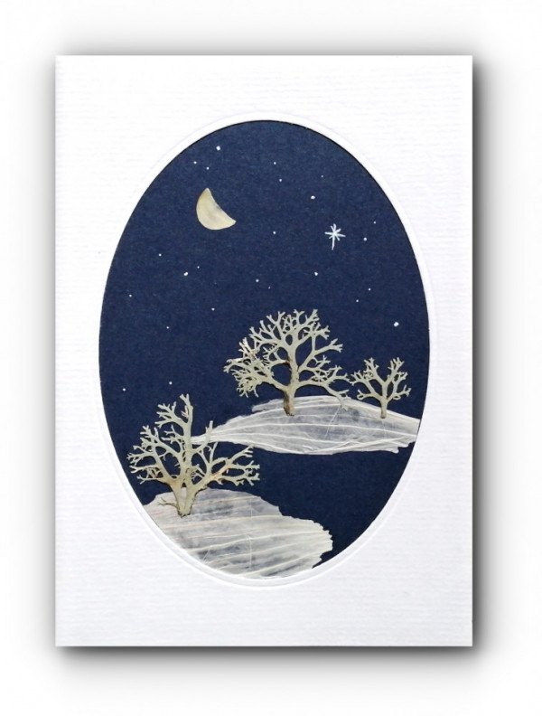 Felicitare "Silent night"