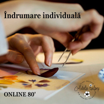 Ședință de îndrumare individuală