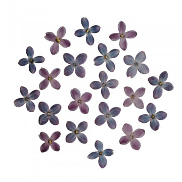 liliac