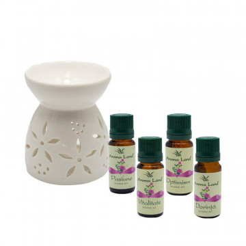 Pachet Cadou, Curajul de a te bucura de sentimentul de acasa, Aromatizor Ceramic si Dorinta, Pasiune, Optimism & Vitalitate