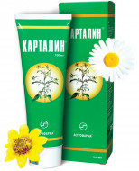 KARTALIN MAST