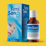 FEMISAN B KAPI