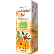 CANDIDAPLANT KAPI