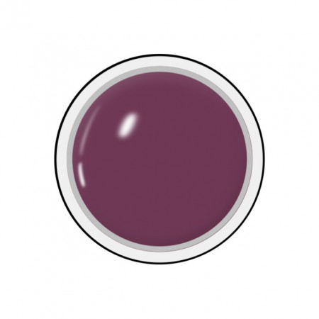 Geluri Color Unghii, Producator Royal Femme, Culoare Summer Plum, Gramaj 5ml, Geluri Colorate Manichiura