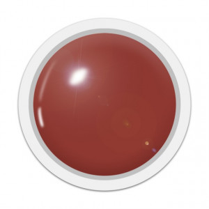 Geluri Color 110 ORANGE SALSA - Geluri Colorate Unghii Exclusive Nails