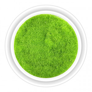 Catifea Unghii Decorativa Culoare Verde Brotacel, Cod C-V26