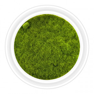 Catifea Unghii Decorativa Culoare Verde Olive, Cod C-V27
