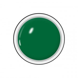 Gel colorat unghii Royal Femme LEAF GREEN (Geluri Profesionale Unghii)
