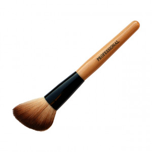 Pensula Blush Oblica Paston Profesional