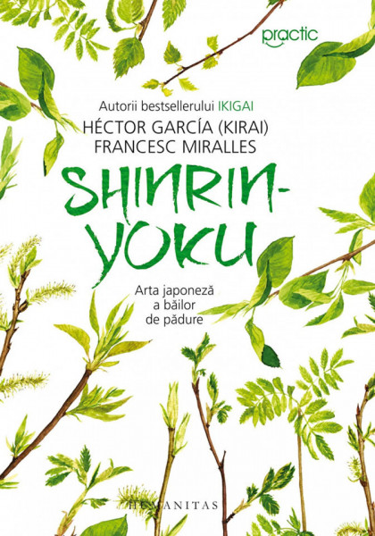 Shinrin-yoku. Arta japoneza a bailor de padure