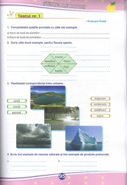 Teste de evaluare (descriptori de performanta) - Clasa a IV-a. Limba romana - Matematica - Stiinte ale naturii - Educatie civica - Istorie - Geografie