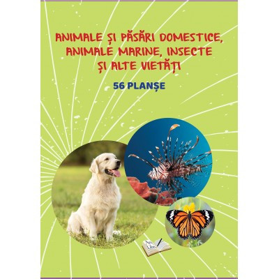 Păsări și animale domestice, animale marine, insecte și alte vietăți - 56 planșe