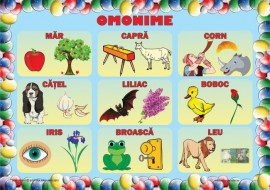 omonime