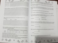 Matematică și explorarea mediului - Mă pregatesc pentru concurs ! Clasa II