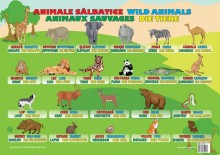 Plansa Animale Sălbatice