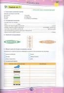 Teste de evaluare (descriptori de performanta) - Clasa a IV-a. Limba romana - Matematica - Stiinte ale naturii - Educatie civica - Istorie - Geografie
