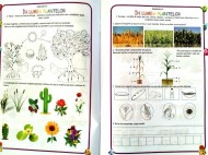 Matematica și explorarea mediului, Clasa pregătitoare - Caiet de lucru